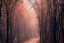 乐天fun88官网:2023日職聯賽季前瞻:鹿島鹿角 日本最具底蘊的豪門!距重返榮耀已不遠!.