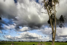 阿森納計劃清理七名球員目前僅三名離隊.