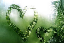 乐天堂:33所学校成为全省首批新型足球学校.